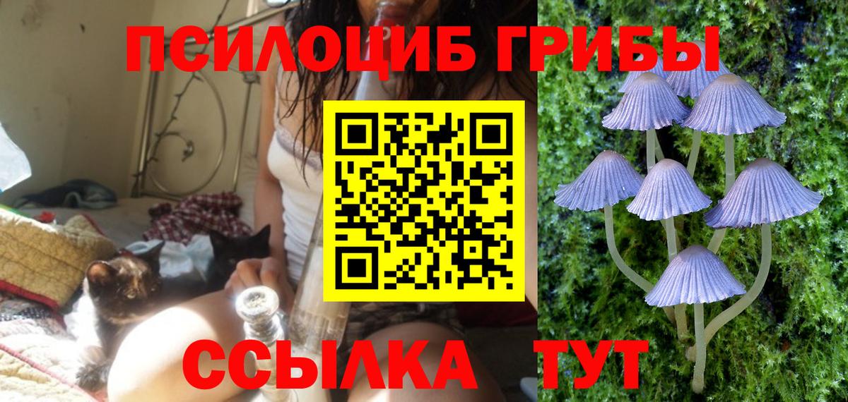Псилоцибиновые грибы мицелий Мурманск